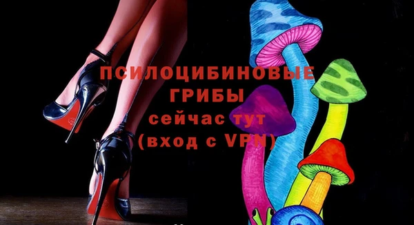 трава Аркадак