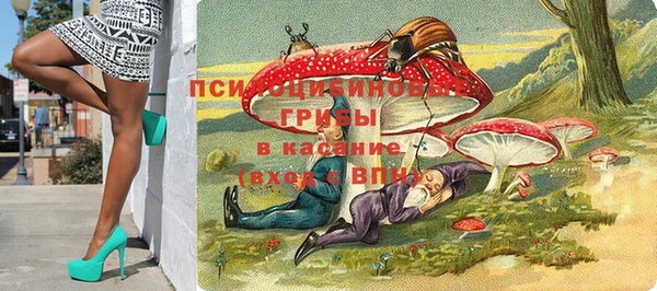 винт Слюдянка
