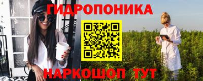 кокс Нальчик